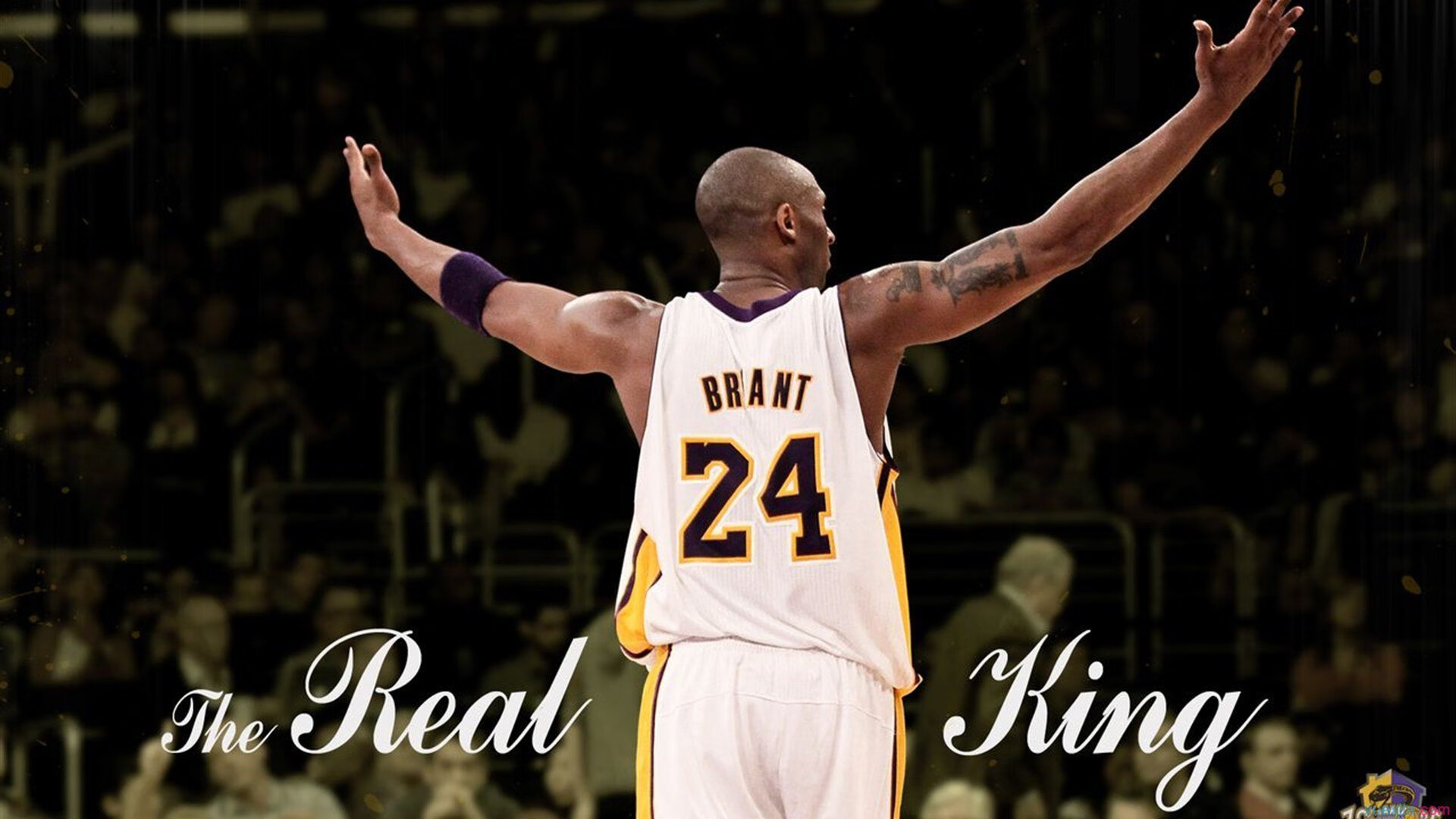 未来联盟:电竞化、虚拟现场成为新的增长点,未来联盟第一人